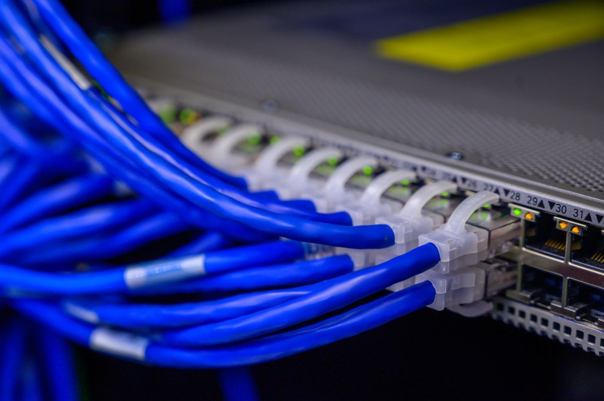 Close-up of blue ethernet cables plugged into a network switch in a data center with green port lights